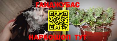 прущие крисы Будённовск