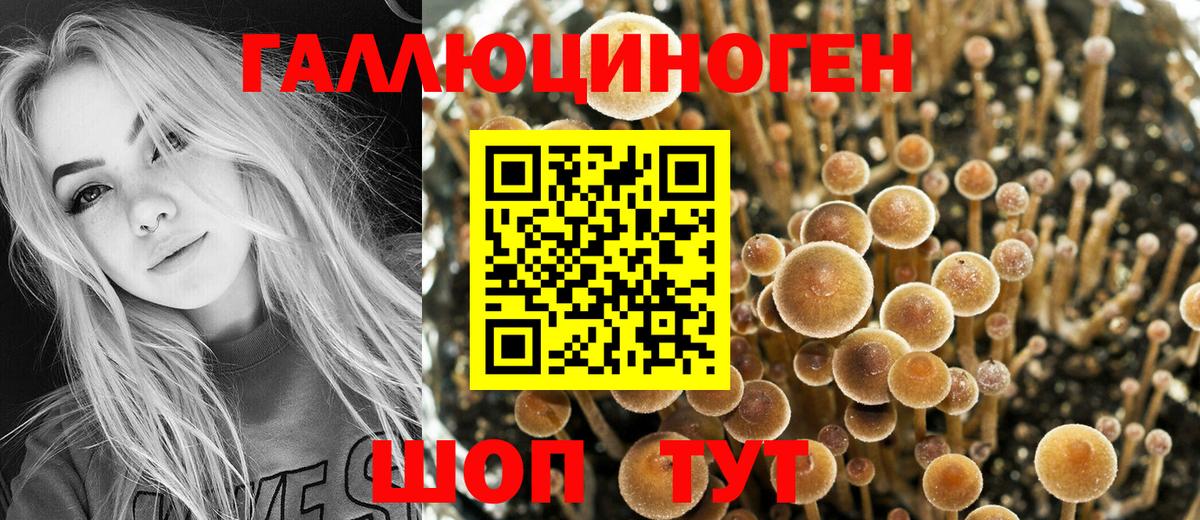 Галлюциногенные грибы Psilocybine cubensis  наркошоп  Ноябрьск  Вход с VPN 
